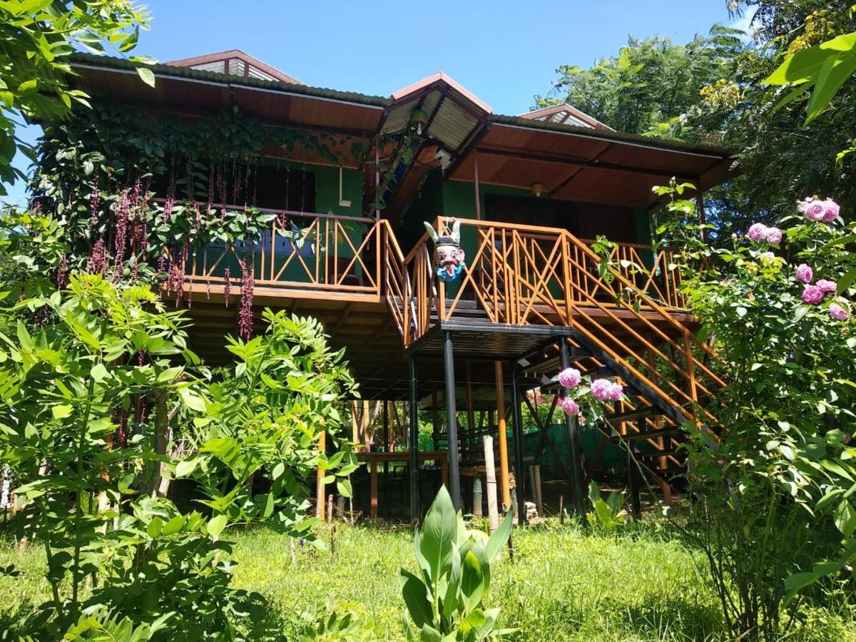 Mist Valley Hotel Masinagudi Exterior foto